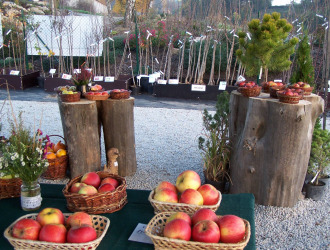 Výstava ovocných dřevin 2017